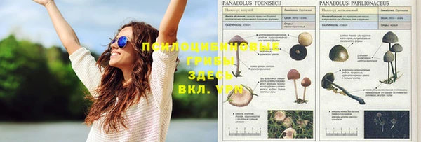 марки nbome Мегион